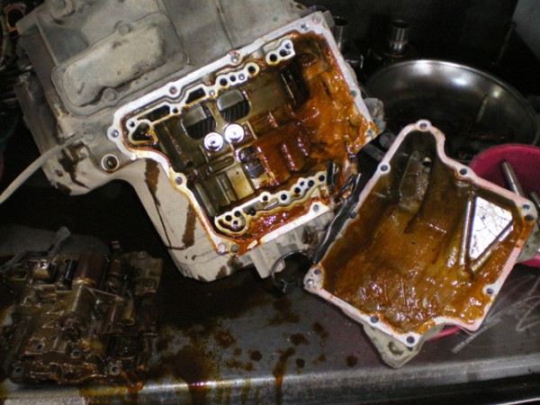b77e2a78d5c736a6327d991914fd70ec_1561513695_5594.jpg