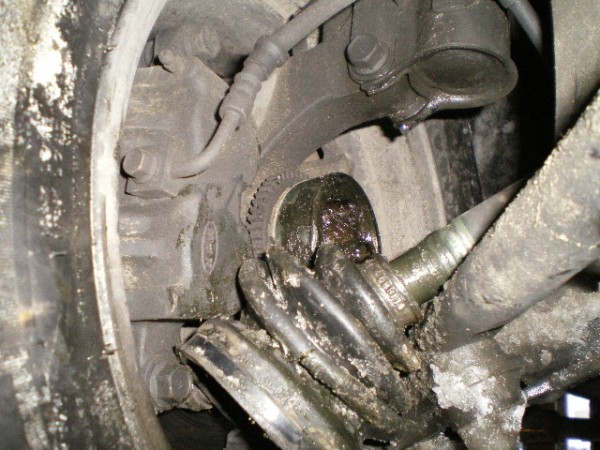 b77e2a78d5c736a6327d991914fd70ec_1561514073_5234.jpg