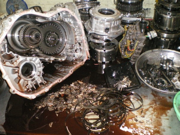 b77e2a78d5c736a6327d991914fd70ec_1561514520_1389.jpg